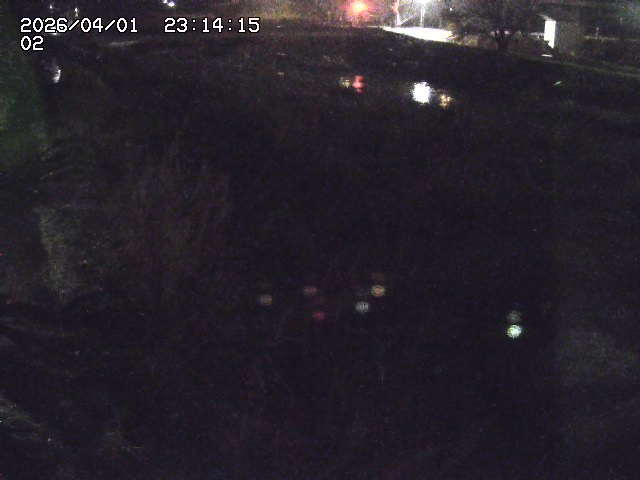 取得できませんでした