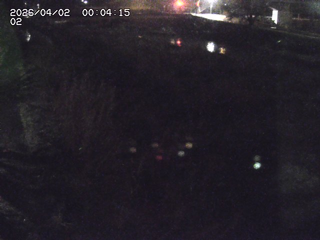 取得できませんでした