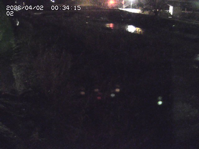 取得できませんでした