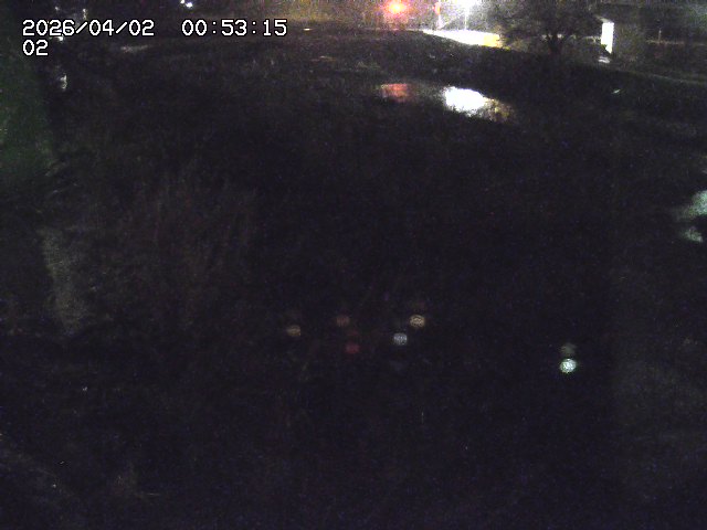 取得できませんでした