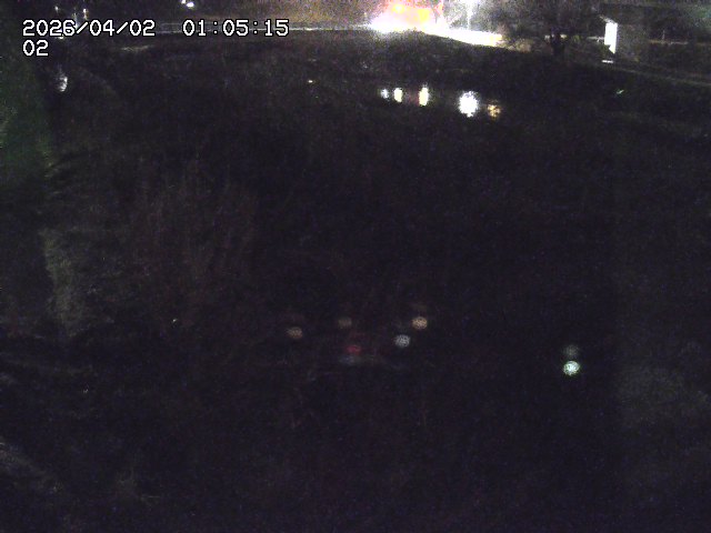 取得できませんでした