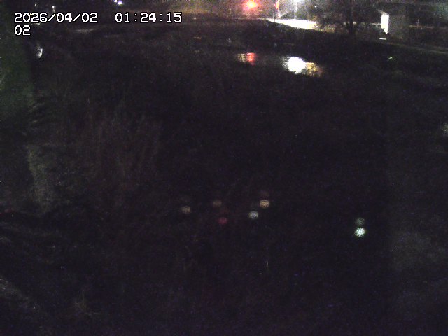 取得できませんでした