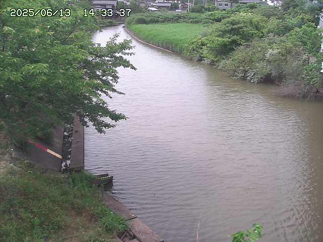 取得できませんでした