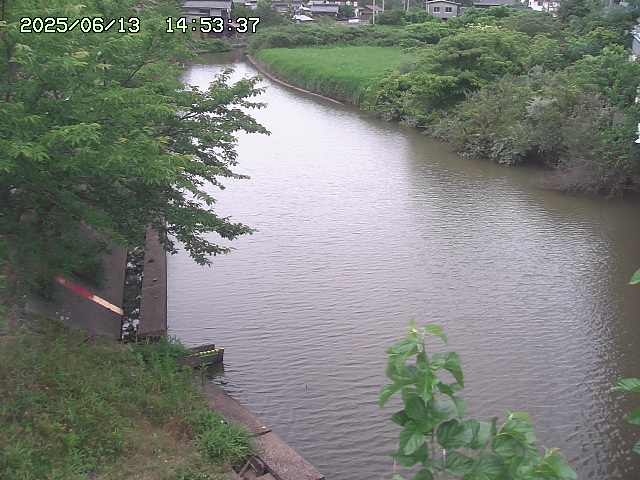 取得できませんでした