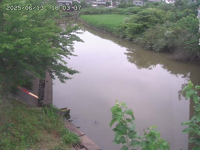 取得できませんでした