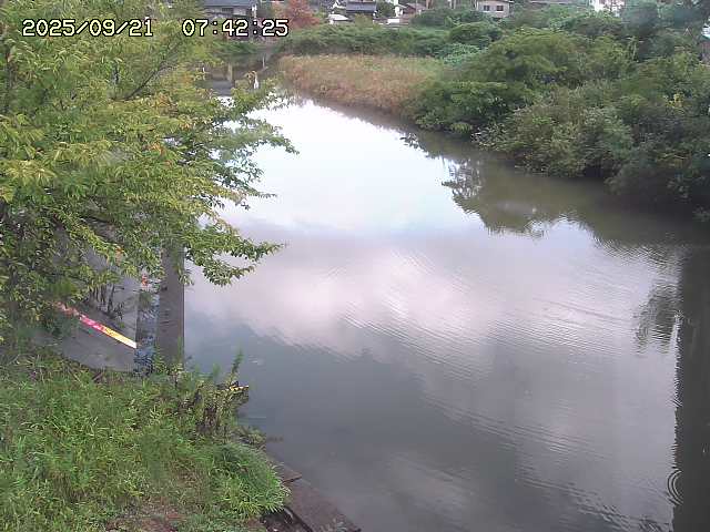 取得できませんでした