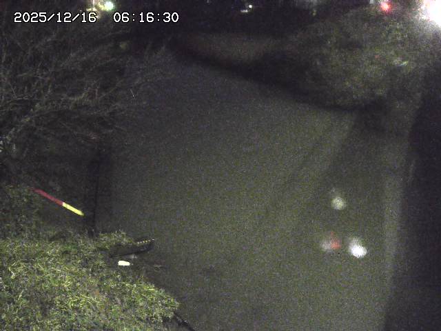 取得できませんでした