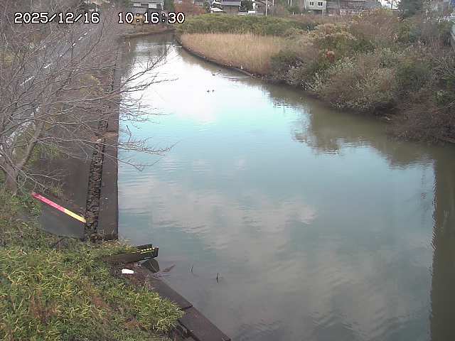 取得できませんでした