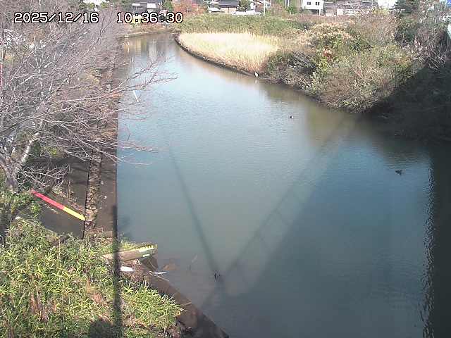 取得できませんでした