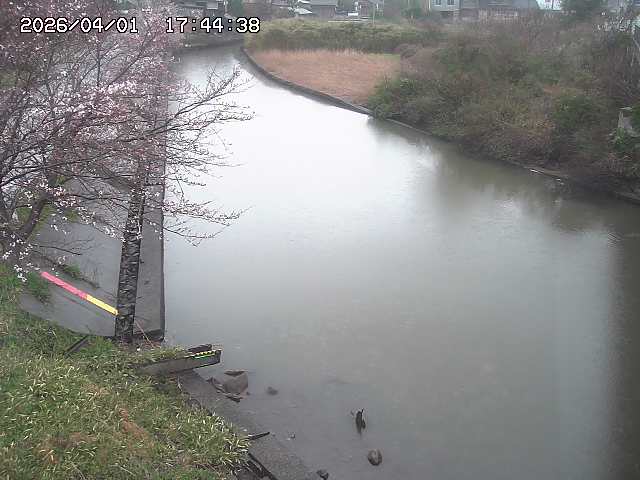 取得できませんでした