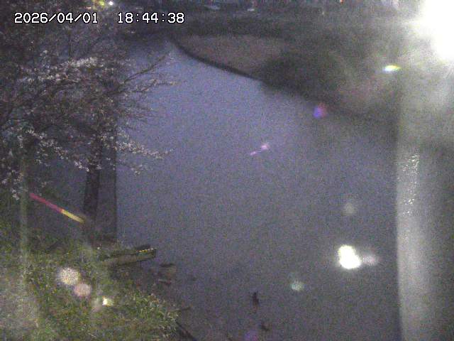 取得できませんでした