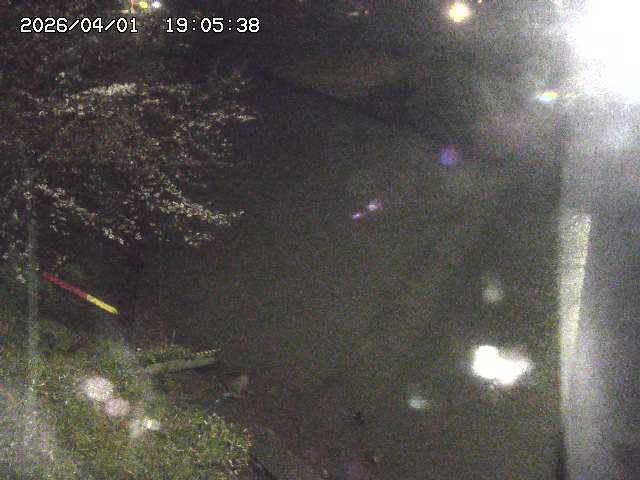 取得できませんでした