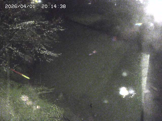 取得できませんでした