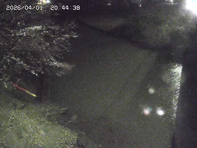 取得できませんでした