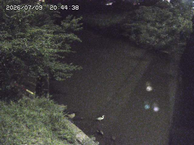 取得できませんでした