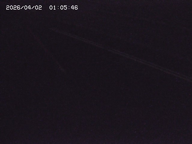 取得できませんでした