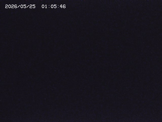 取得できませんでした