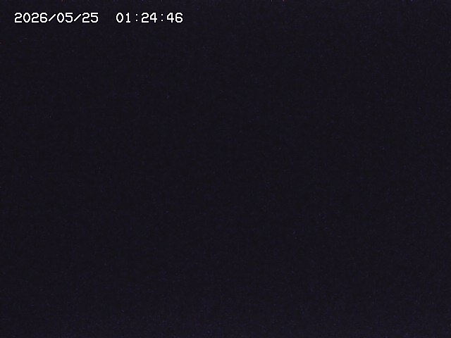 取得できませんでした