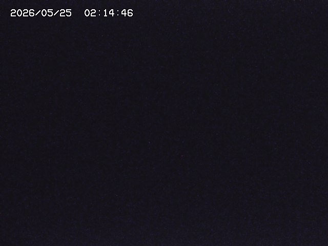 取得できませんでした