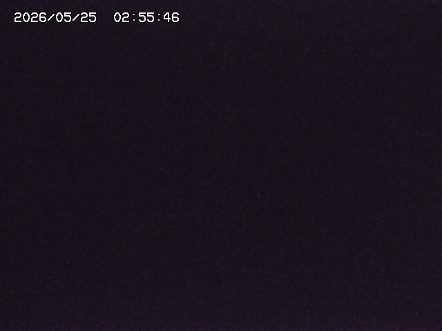 取得できませんでした
