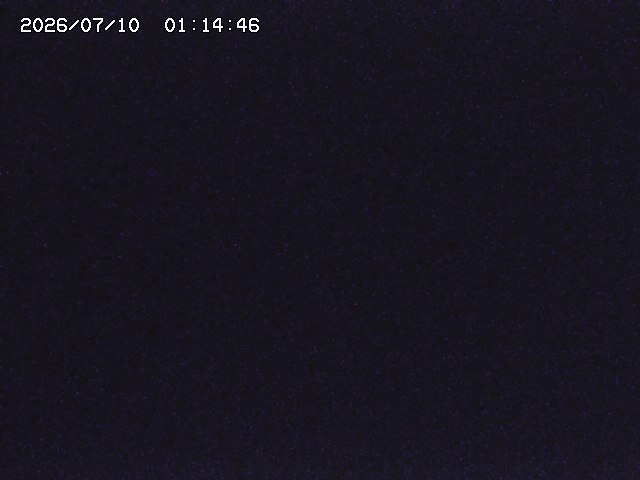 取得できませんでした