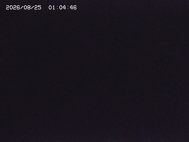 取得できませんでした