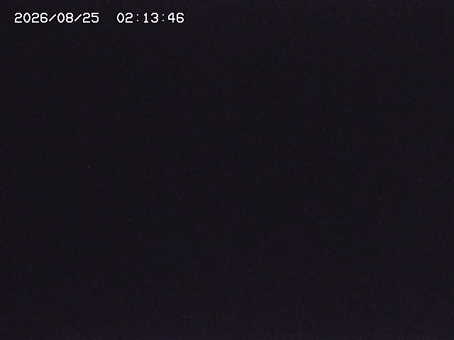 取得できませんでした