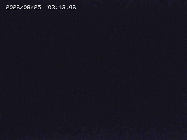 取得できませんでした