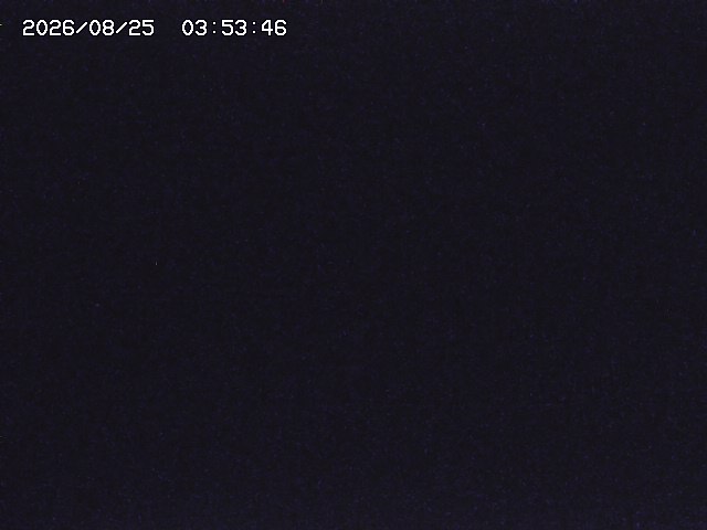 取得できませんでした