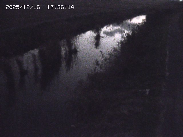 取得できませんでした