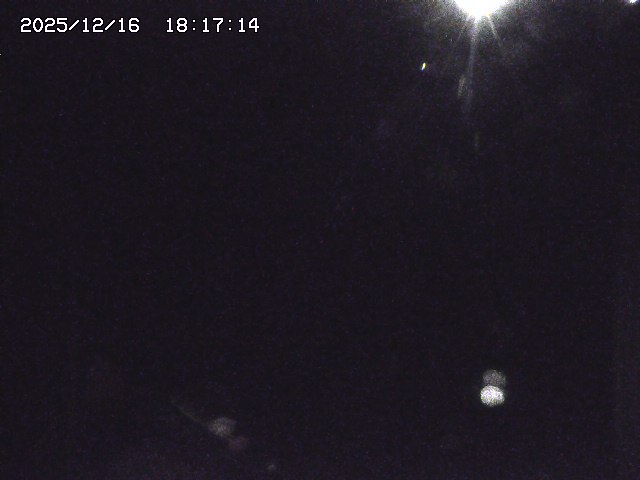 取得できませんでした