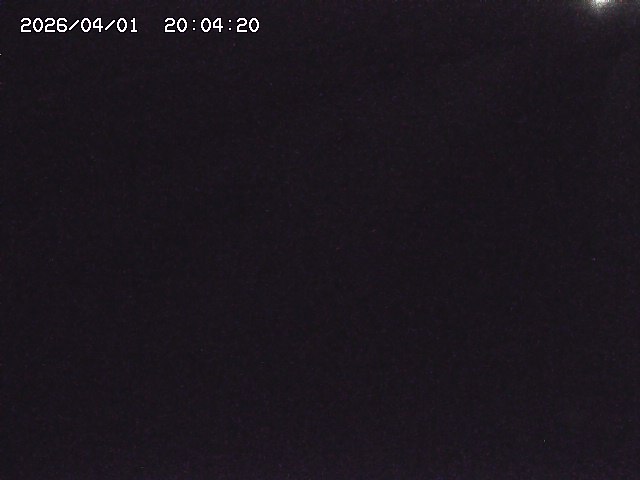 取得できませんでした