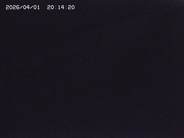 取得できませんでした