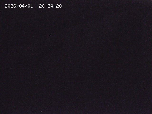 取得できませんでした