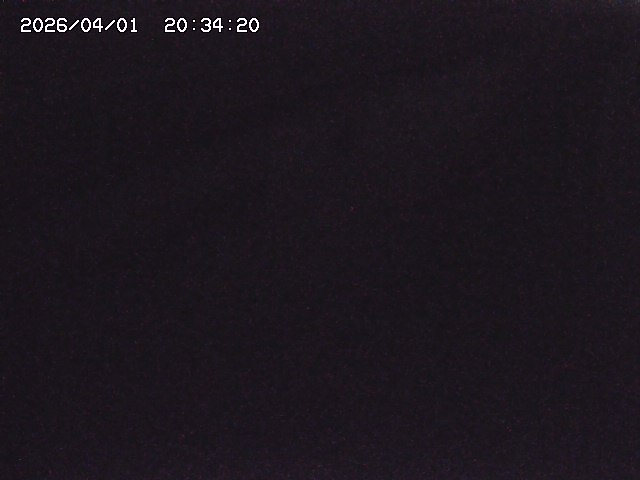 取得できませんでした