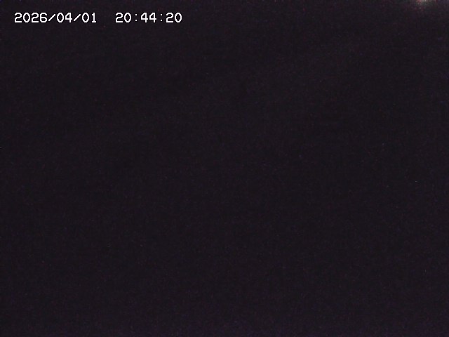 取得できませんでした