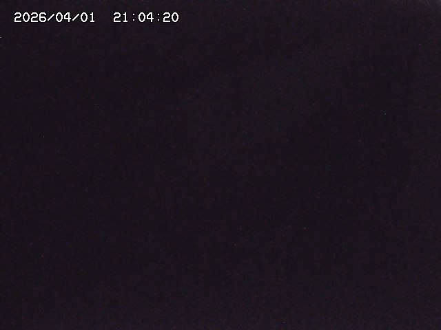 取得できませんでした