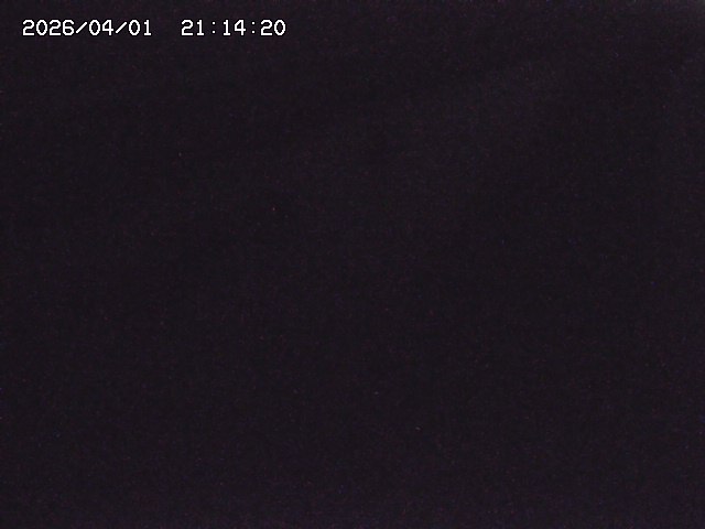 取得できませんでした