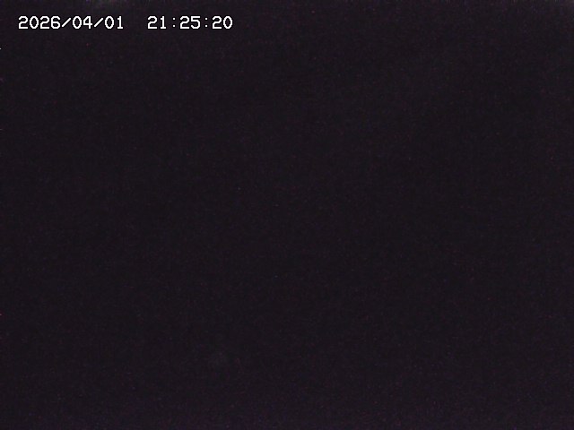 取得できませんでした