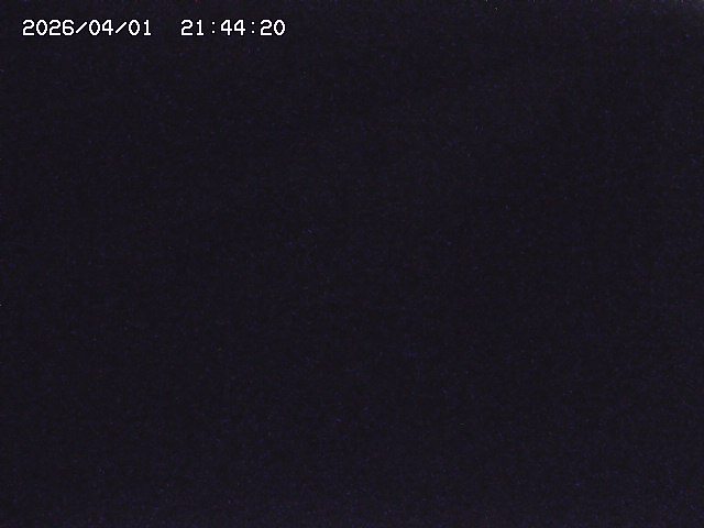 取得できませんでした