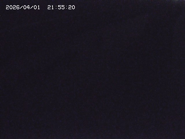 取得できませんでした