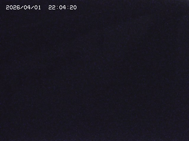 取得できませんでした