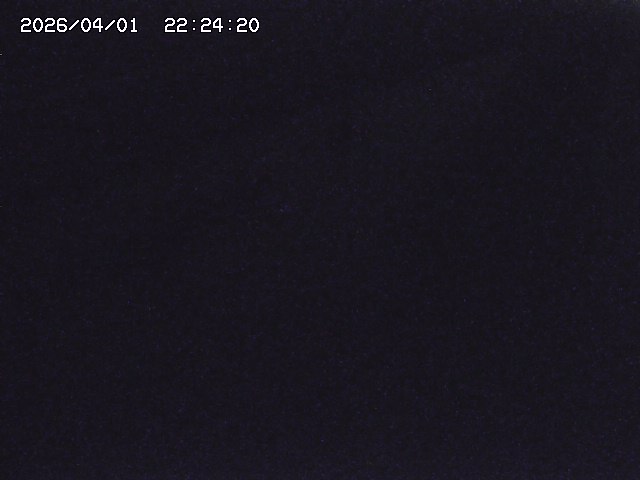 取得できませんでした