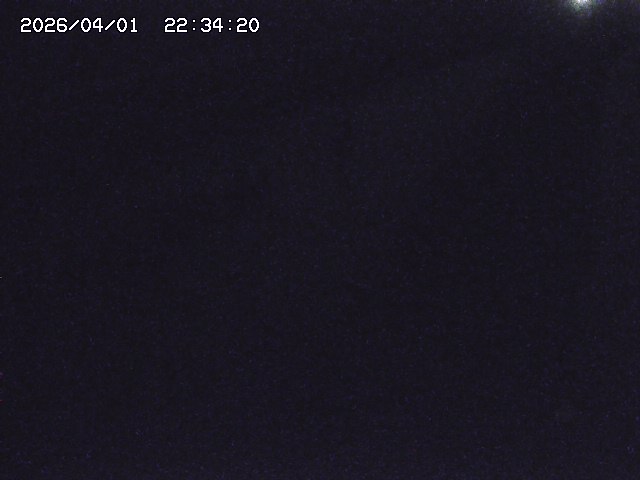 取得できませんでした