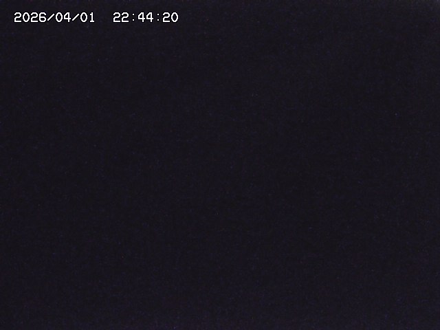 取得できませんでした