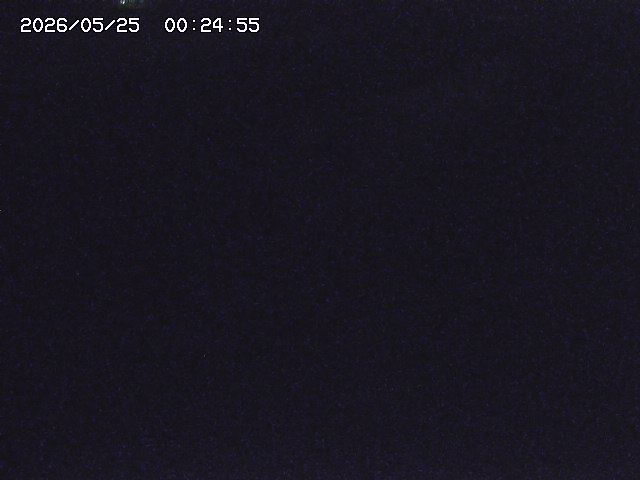 取得できませんでした