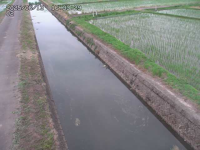 取得できませんでした
