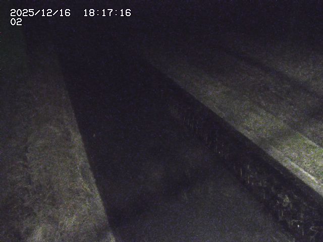 取得できませんでした