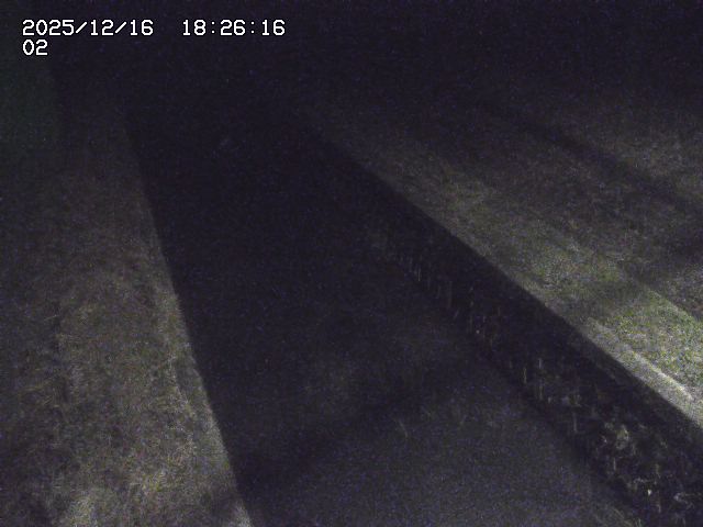 取得できませんでした