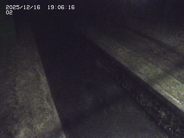 取得できませんでした